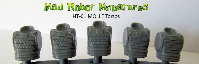 (image for) MOLLE Torsos